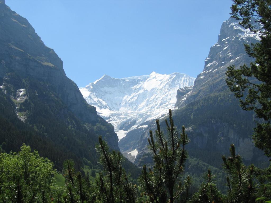 Ferienwohnungen Chalet Hohturnen Grindelwald Luaran gambar