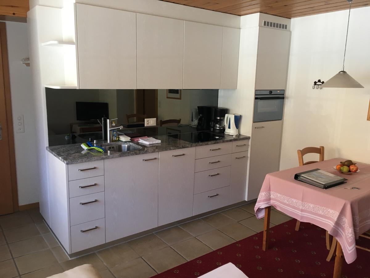 Ferienwohnungen Chalet Hohturnen Grindelwald Luaran gambar
